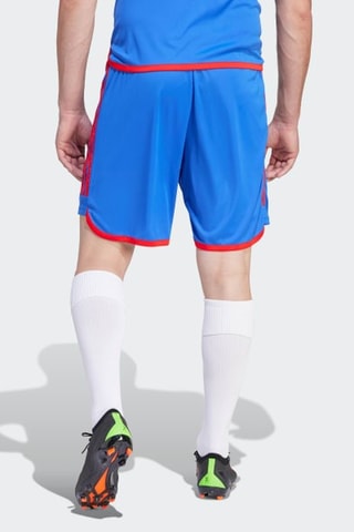 Standaard Short Olympique Lyonnais - Kobaltblauw