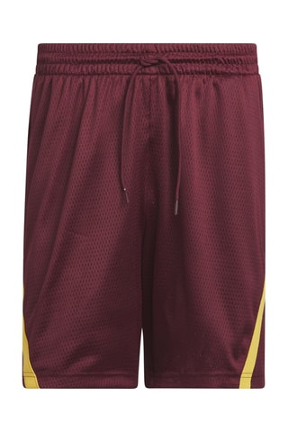Basketbalshort Select Summer- Bordeauxrood