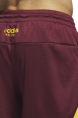 Basketbalshort Select Summer- Bordeauxrood