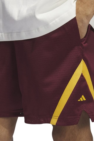 Basketbalshort Select Summer- Bordeauxrood