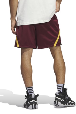 Basketbalshort Select Summer- Bordeauxrood