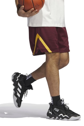 Basketbalshort Select Summer- Bordeauxrood