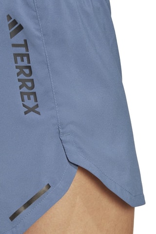Trailshort Terrex Agravic Grijs