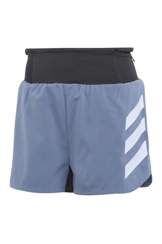 Trailshort Terrex Agravic Grijs