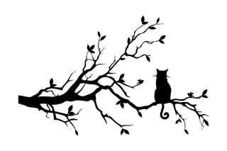Décoration murale Cat 12 - Noir