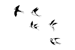 Décoration murale 5 oiseaux - Noir
