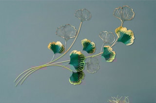 Décoration murale - Vert et jaune