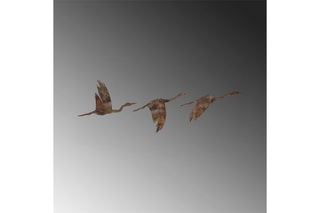 3 décorations murales Rusty Birds 1 - 11 x 16/14 x 22/18 x 27 cm - Doré