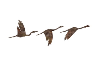 3 décorations murales Rusty Birds 1 - 11 x 16/14 x 22/18 x 27 cm - Doré