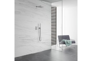 Bras et douche de tête