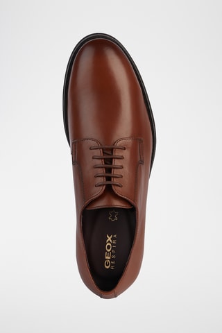 Derbys en cuir Decio - Marron