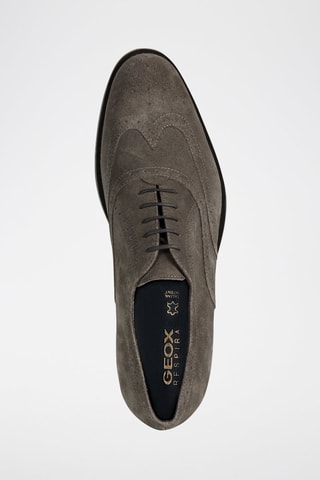 Derbys en nubuck Hampsteac - Gris
