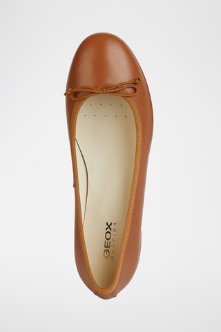 Ballerines en cuir Floretia - Marron