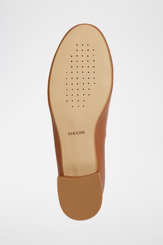 Ballerines en cuir Floretia - Marron