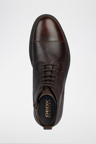 Bottines en cuir Terence C  - Marron