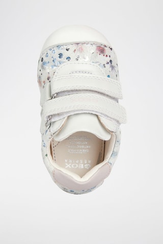 Baskets en cuir de chèvre nubuck B Tutim - Ecru