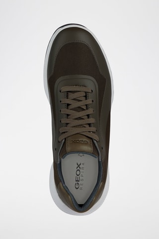 Baskets en cuir Pg1X - Olive foncé