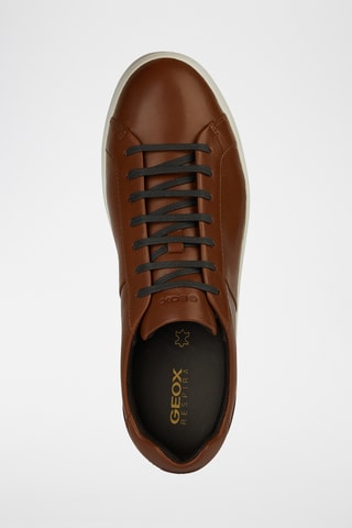 Baskets en cuir Regio - Marron