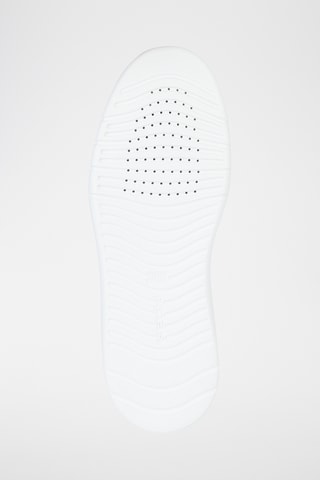 Baskets Geox - Taupe