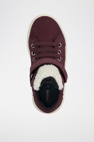 Baskets montantes en nubuck Theleven Wpf C  - Bordeaux