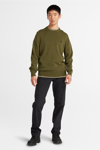 Pull Williams River - Vert olive