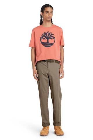 Chino straight Claremont - Marron