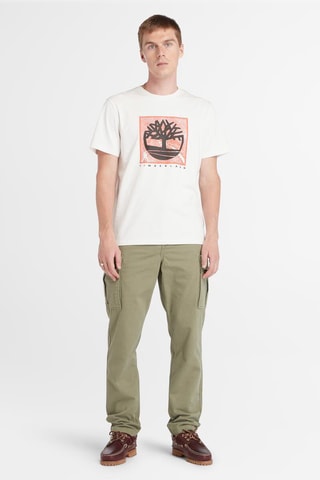 Pantalon cargo Brookline - Gris