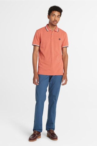 Chino TFO - Bleu cobalt