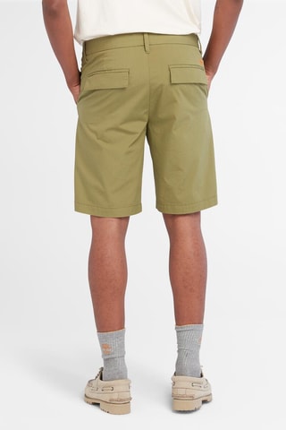Short Squam - Vert