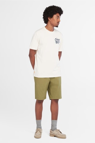 Short Squam - Vert