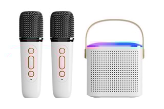 Karaokespeaker EKO 2 microfoons - Bluetooth