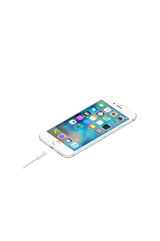 Appel Kabel - Lightning naar USB - 1 m