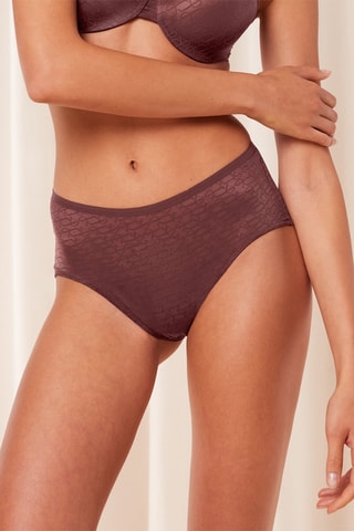 Culotte taille haute Signature Sheer - Marron