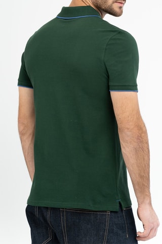 Polo Vert sapin