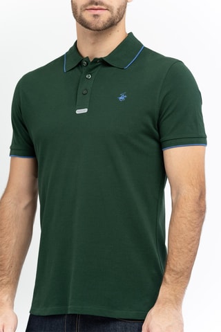 Polo Vert sapin
