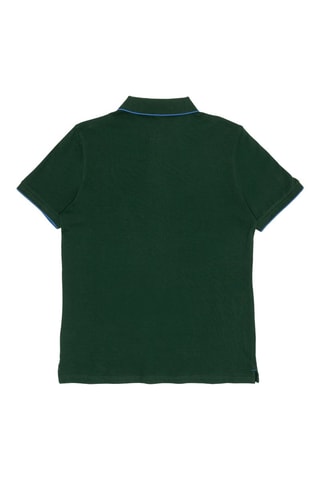 Polo Vert sapin
