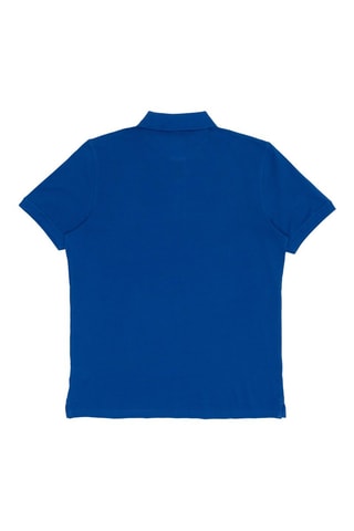 Polo Bleu roi