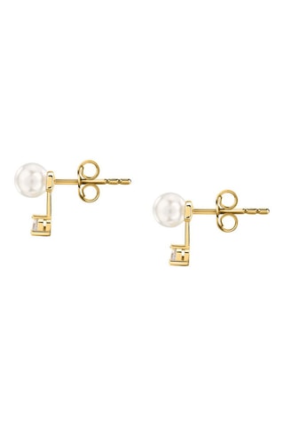 Puces Perle - Argent plaqué or jaune - Morellato