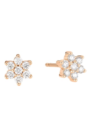 Oorbellen Roségoud en Diamanten