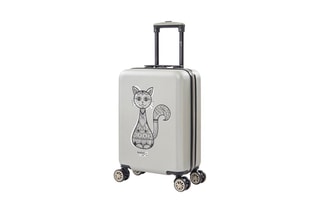 Valise cabine Cat - 55 cm  - Vert