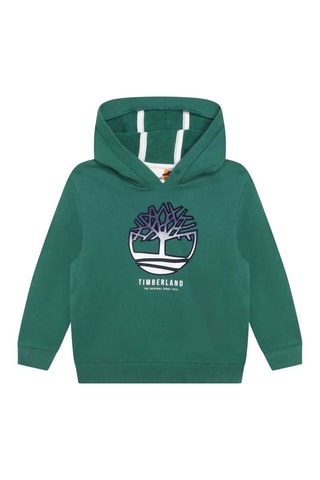 Sweat à capuche Vert