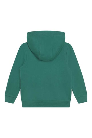 Sweat à capuche Vert