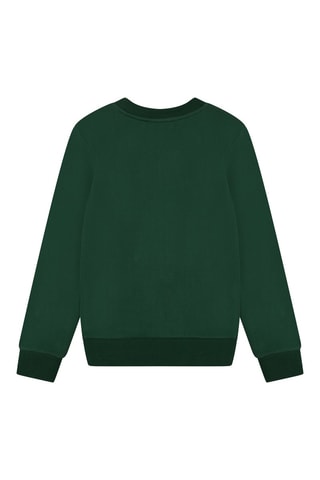 Sweat en coton biologique Vert - Timberland