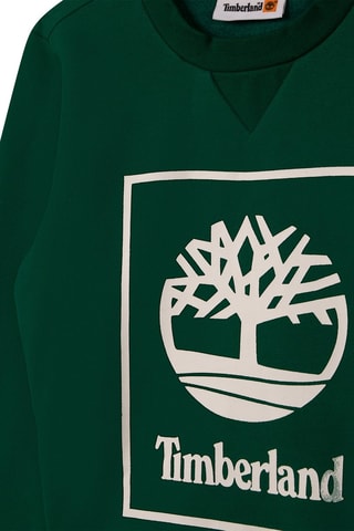 Sweat en coton biologique Vert - Timberland