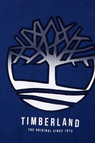 Sweat à capuche Bleu cobalt
