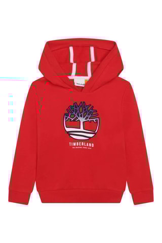 Sweat à capuche Rouge