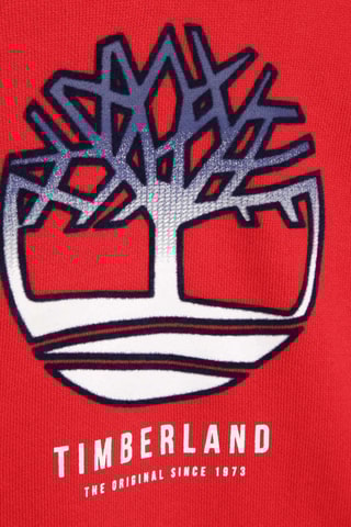 Sweat à capuche Rouge