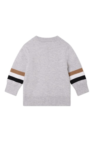 Pull - Gris - Boss