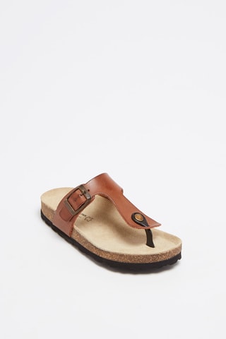 Tongs   Camel