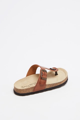 Tongs   Camel